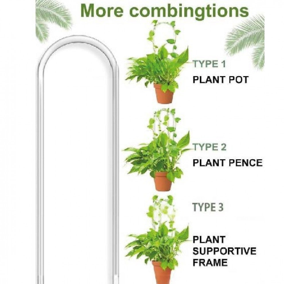 ستاند نبتة اكليرك شفاف عدد 2