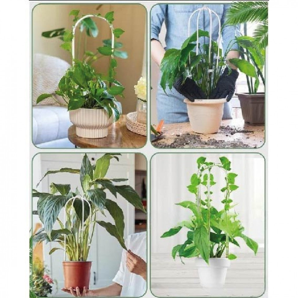 ستاند نبتة اكليرك شفاف عدد 2