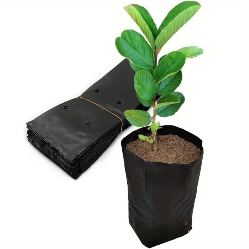 أكياس تشتيل مخرمة عدد 25 كيس