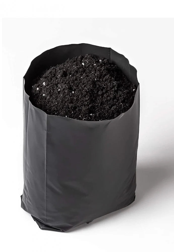 أكياس تشتيل مخرمة عدد 25 كيس