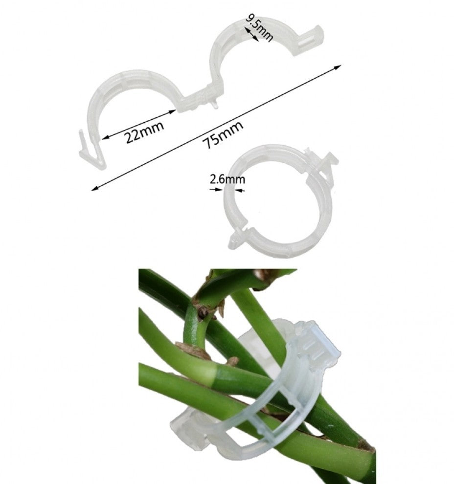 بلاستيك تثبيت الأغصان