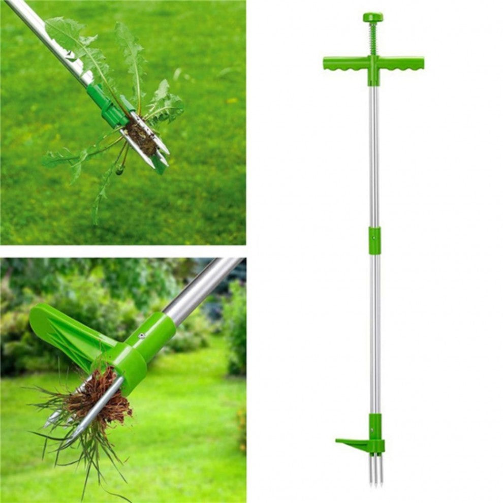 ادة ازالة الحشائش من الجذور