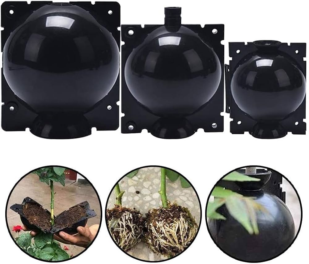 مجموعة تجذير النباتات