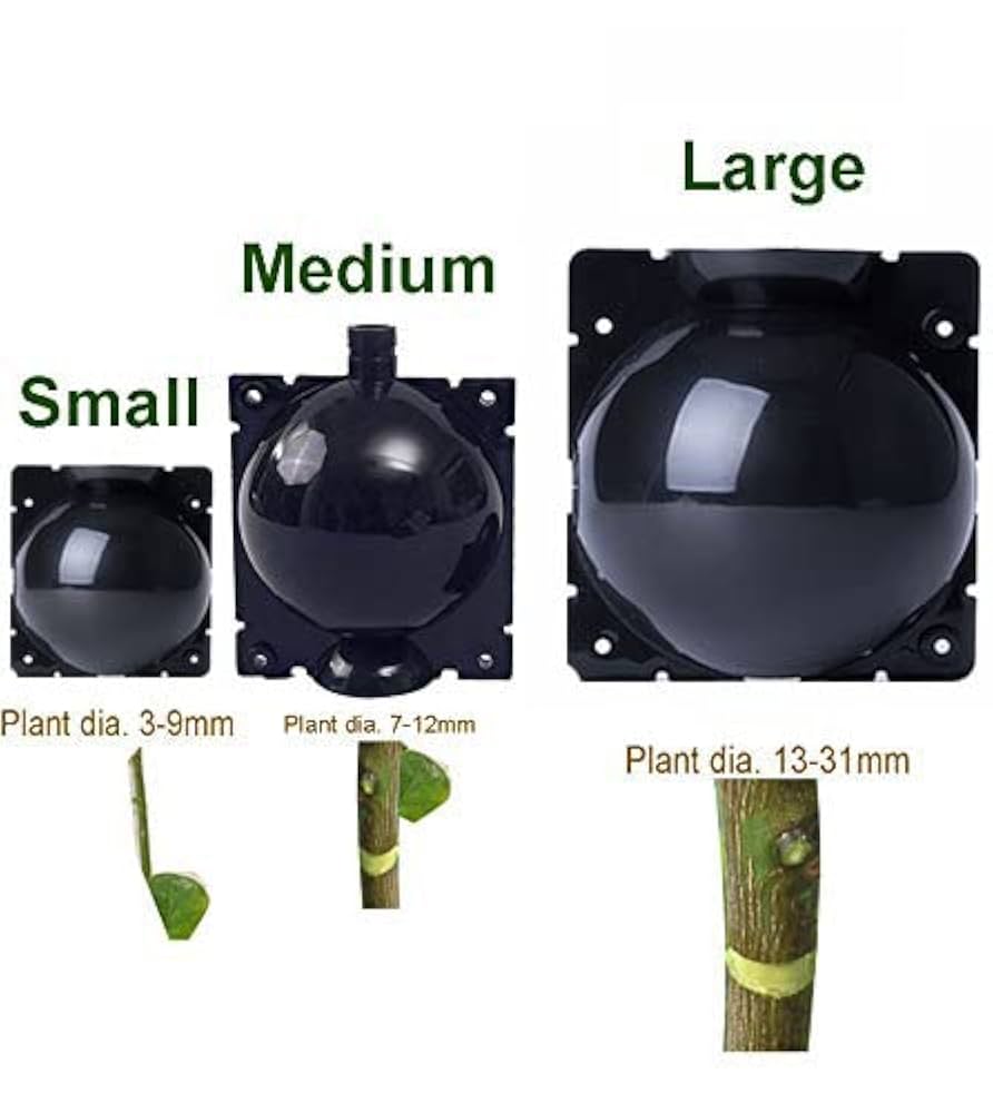 مجموعة تجذير النباتات