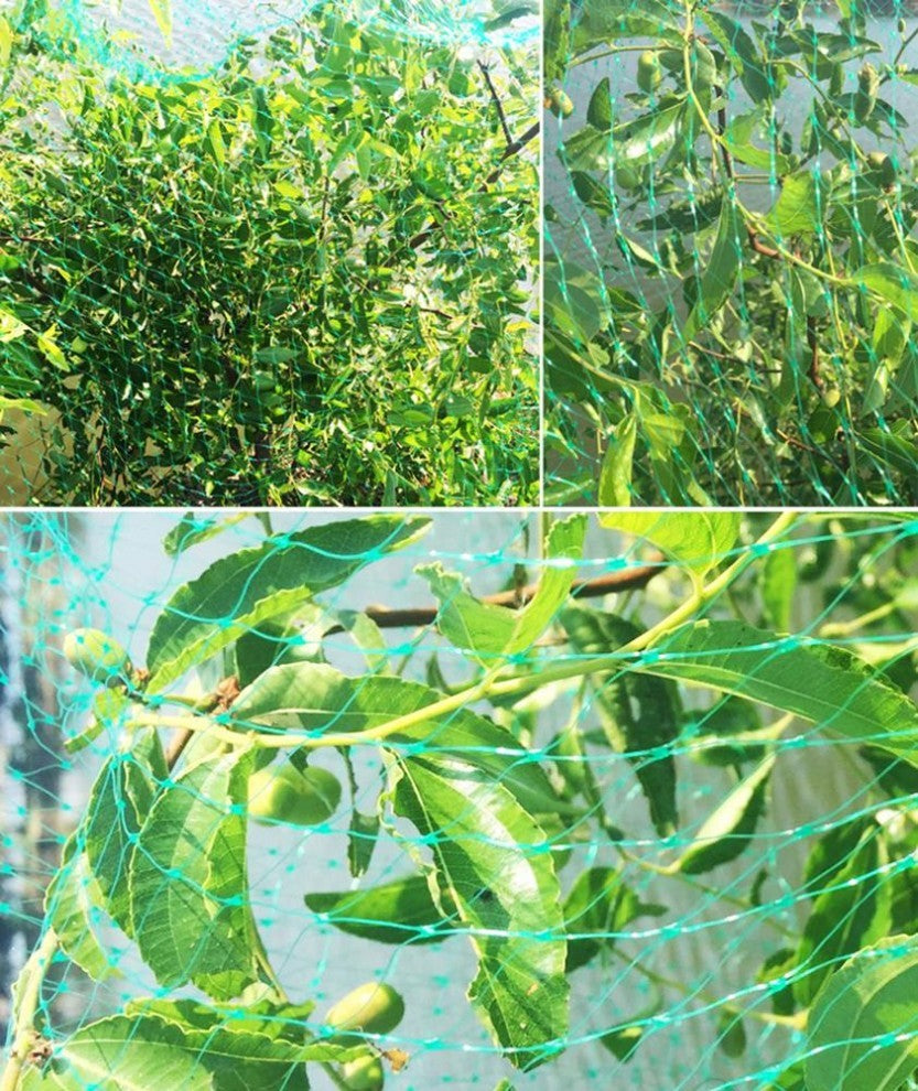 شبك حماية الشتلات من الطيور