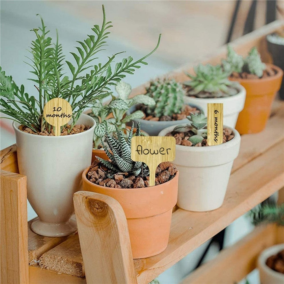 ليبل خشب أشكال متنوعة 10 قطع