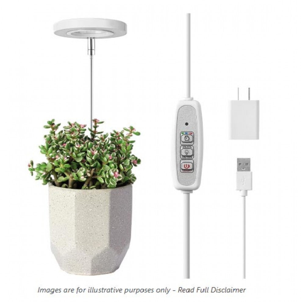 اضاءة نمو النباتات