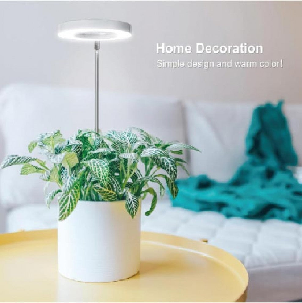 اضاءة نمو النباتات