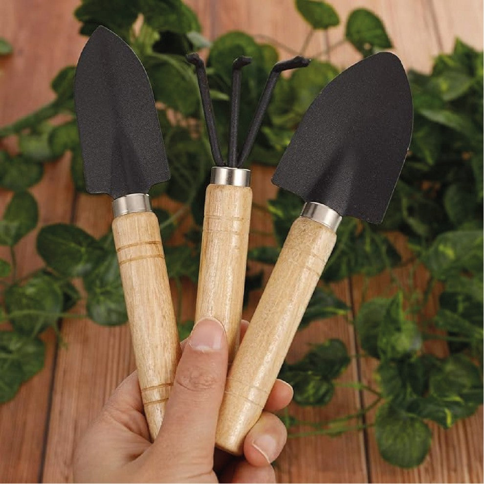 عدة صغيرة للنباتات الداخلية