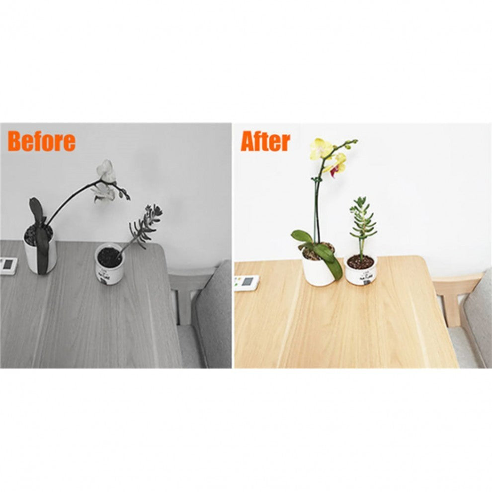 ستاند الاوركيد 37 سم