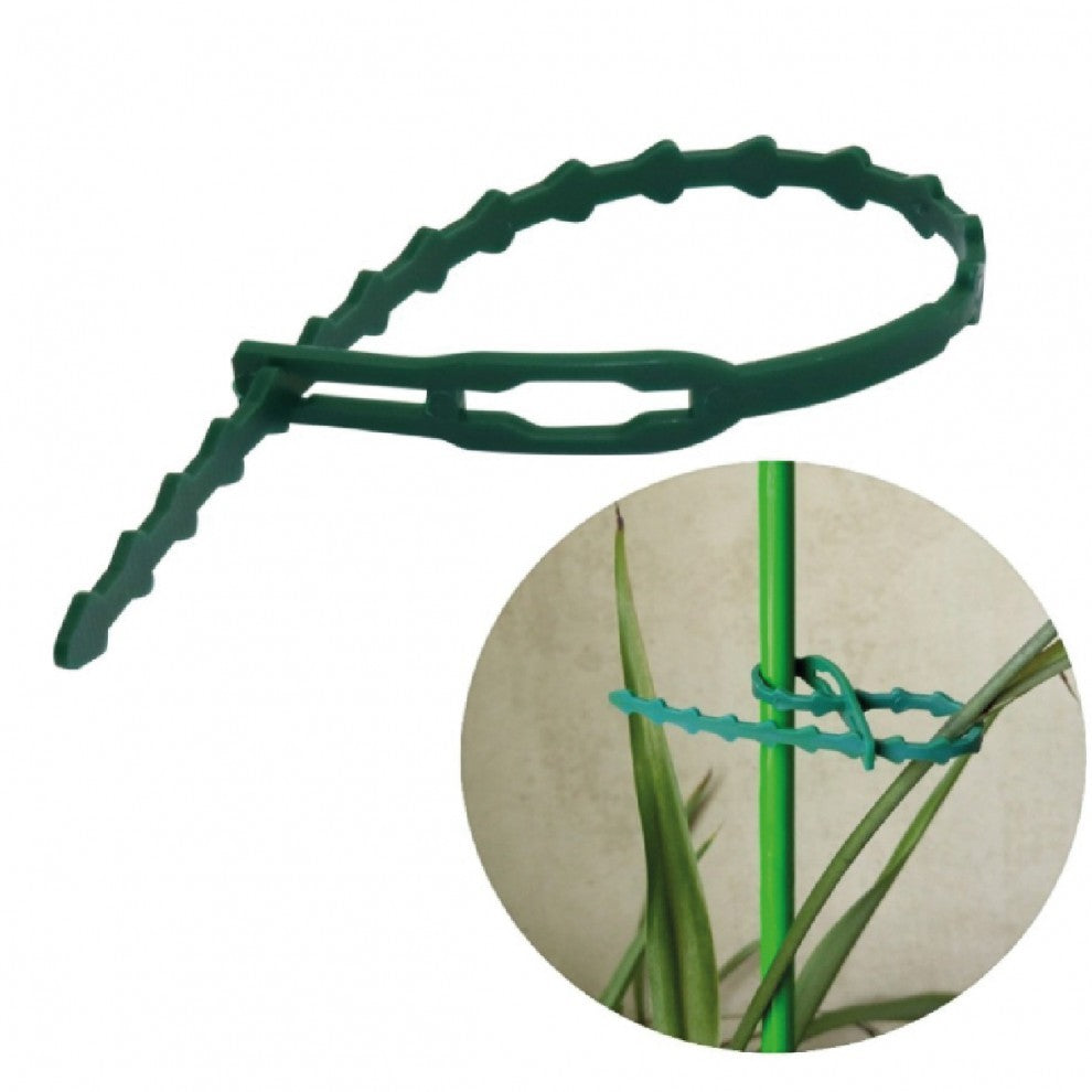 بلاستيك تدعيم ساق النباتات عدد 25