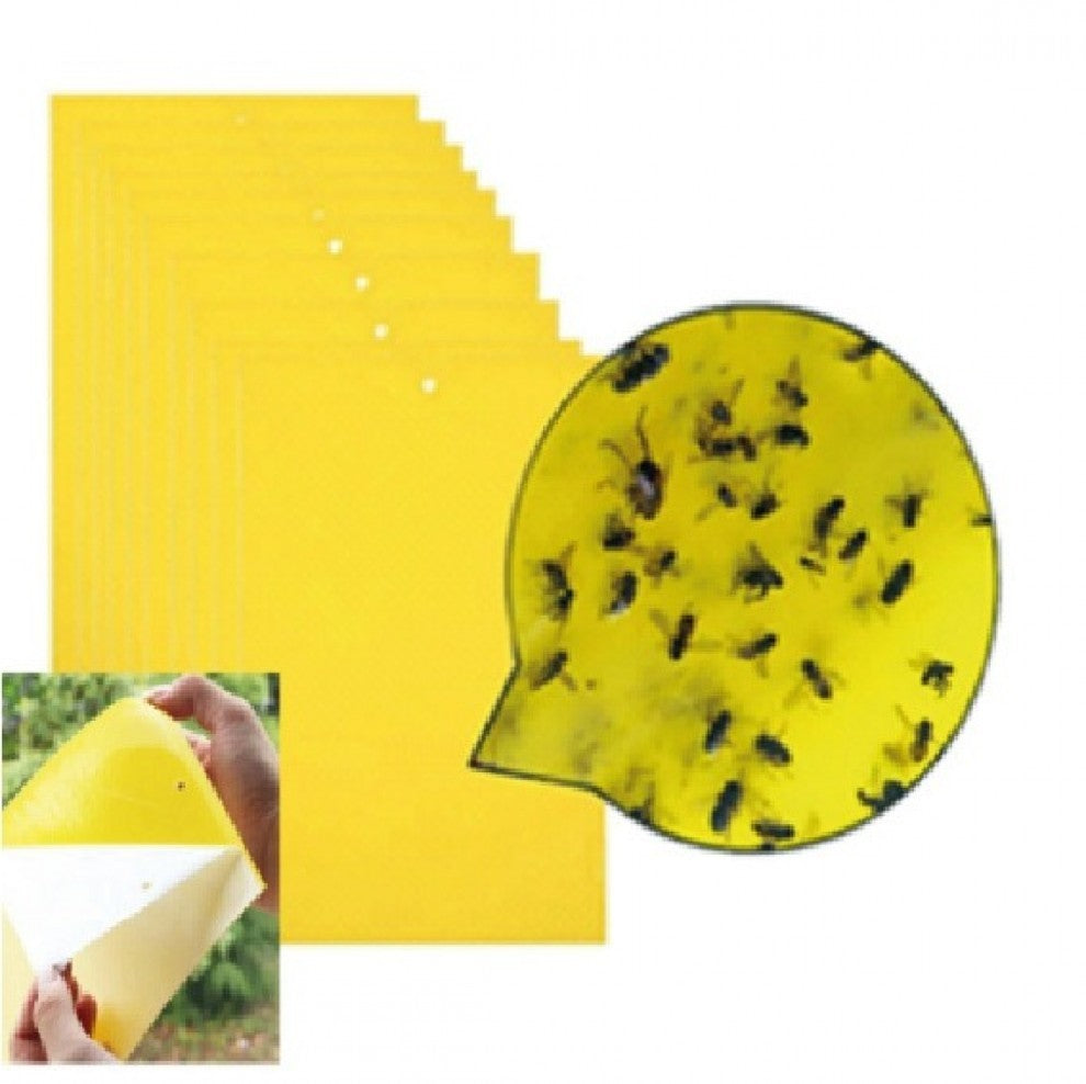 ملصق للذباب والحشرات عدد 20