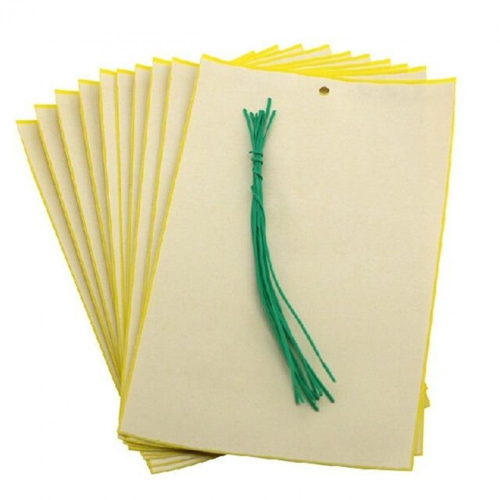 ملصق للذباب والحشرات عدد 20