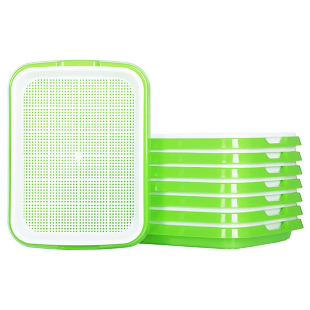 سلة استنبات