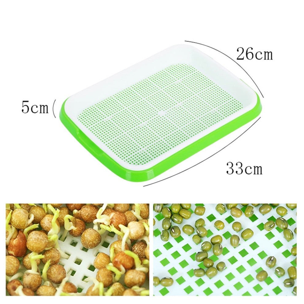 سلة استنبات