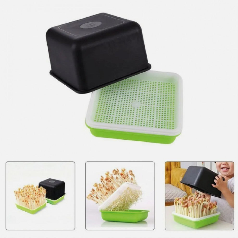 صينية استنبات مع غطاء