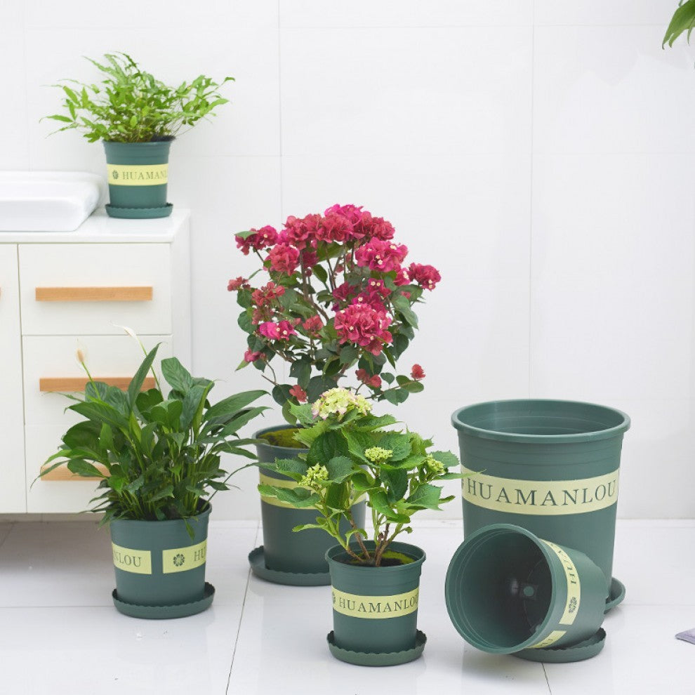 مجموعة احواض زراعية مع صحن