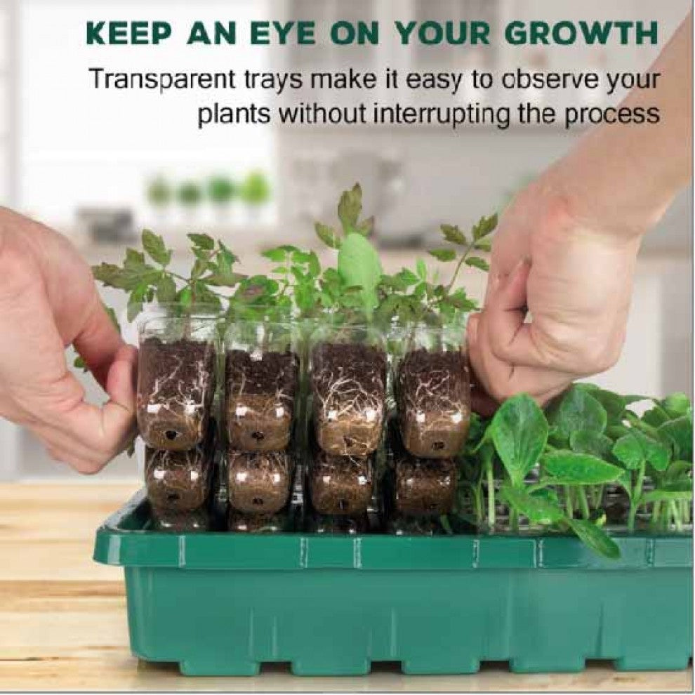 صينية تشتيل 48 عين مع الاضاءة