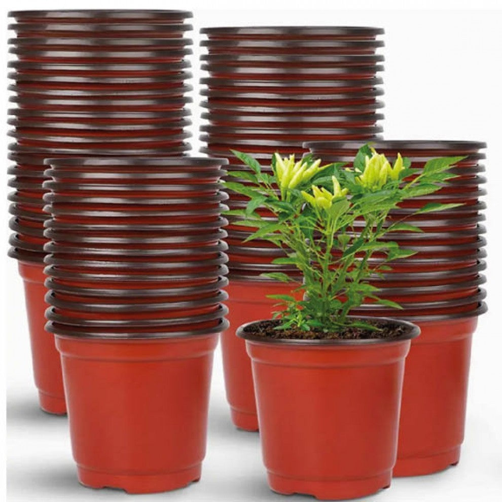 حوض بلاستيك خفيف 9.5 سم عدد 20