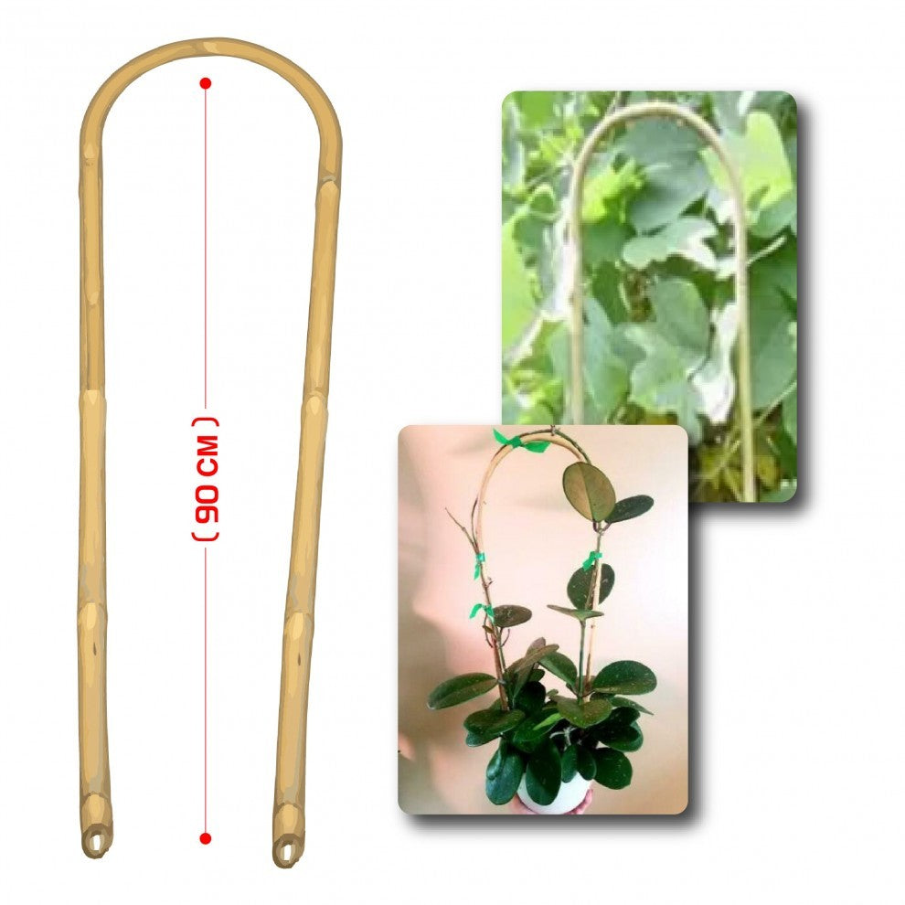 بامبو لتعليق النباتات 90 سم