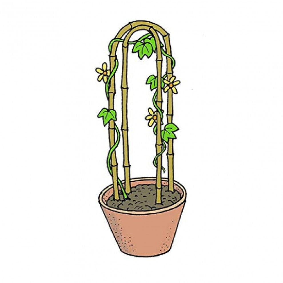 بامبو لتعليق النباتات 90 سم