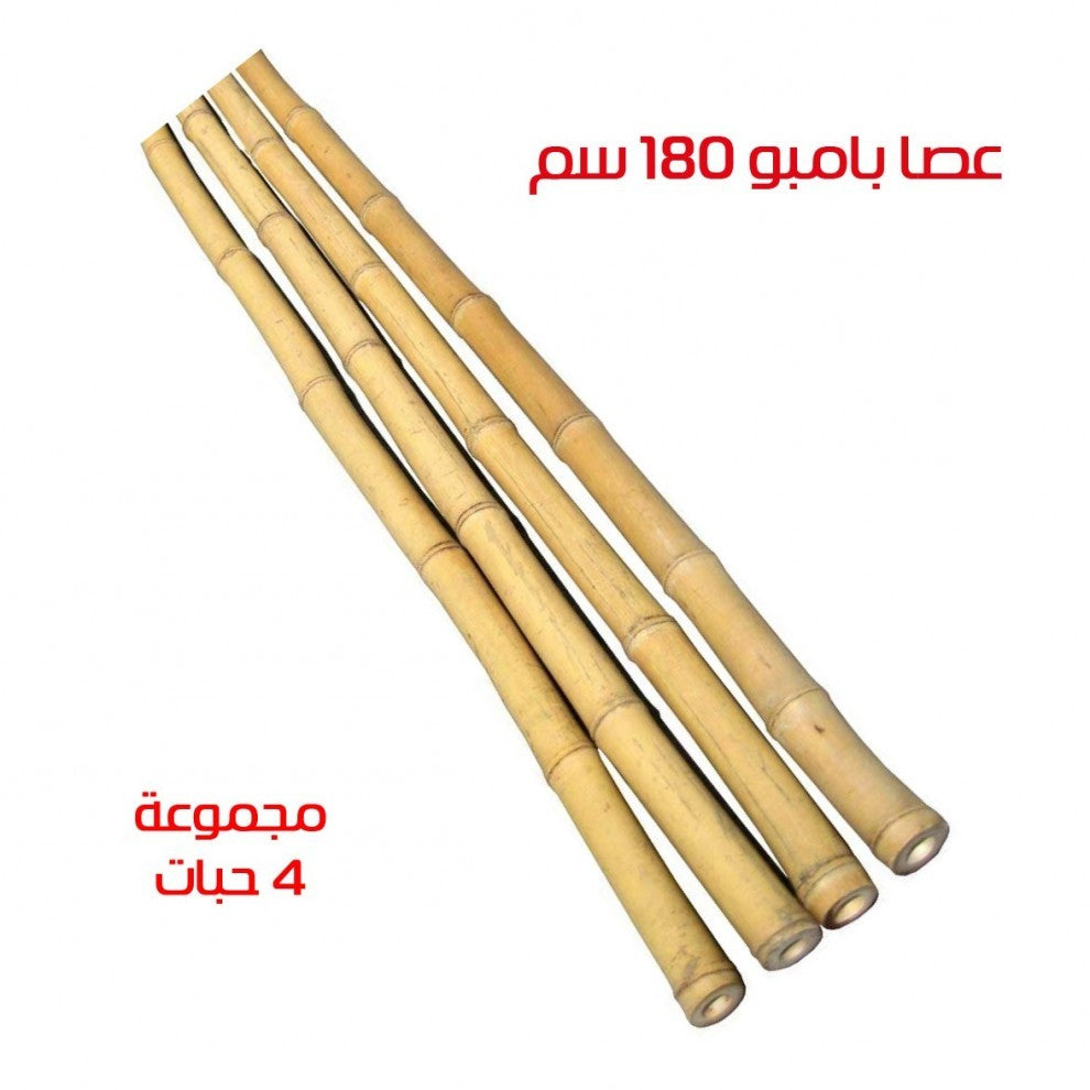 عصا بامبو 180 سم عدد 4