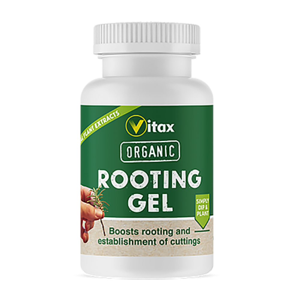 منشط عضوي للجذور