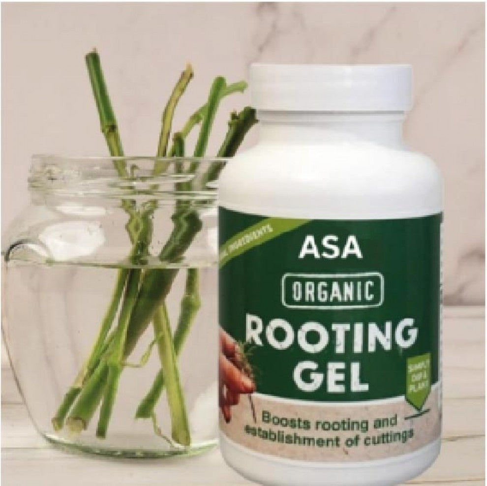 منشط عضوي للجذور