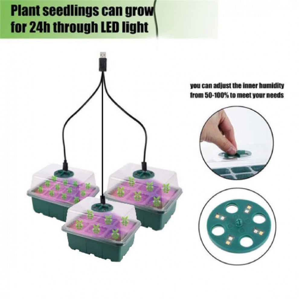 صواني تشتيل 12 عين عدد 3 مع الإضاءة