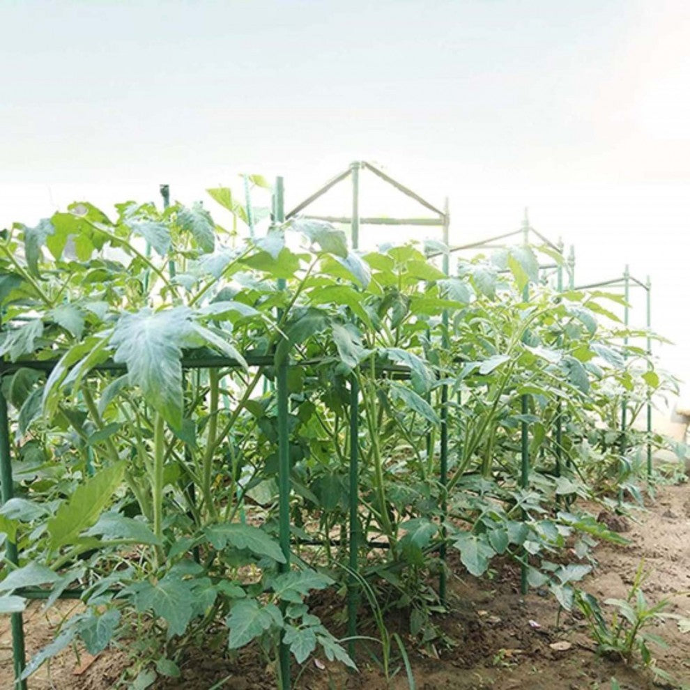 ستاند للمتسلقات 150 سم